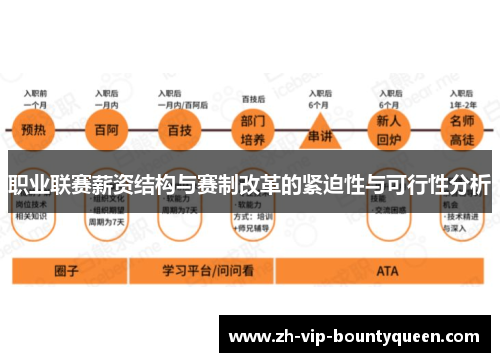 职业联赛薪资结构与赛制改革的紧迫性与可行性分析